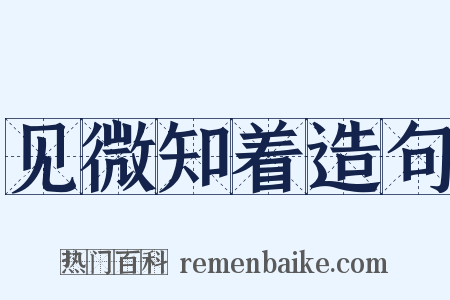 见微知着造句是什么意思的图片